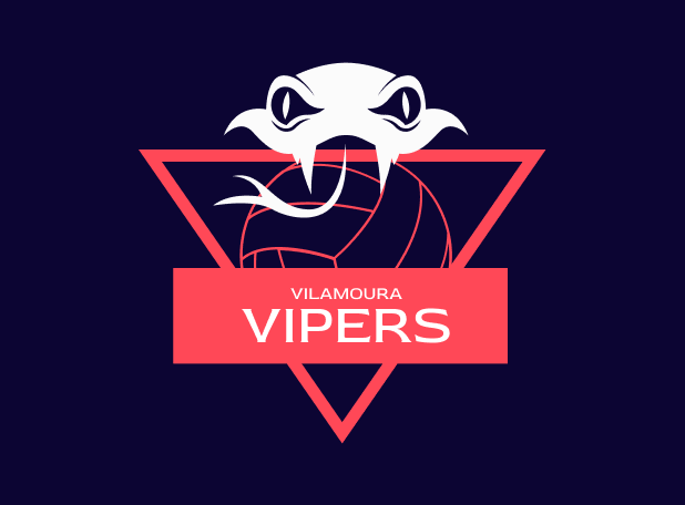 Vipers Netball Club