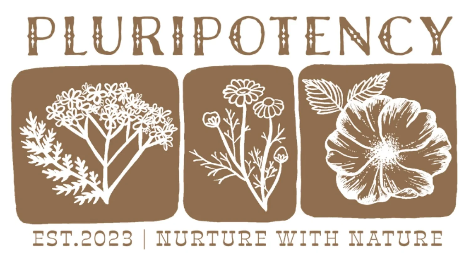 Pluripotency