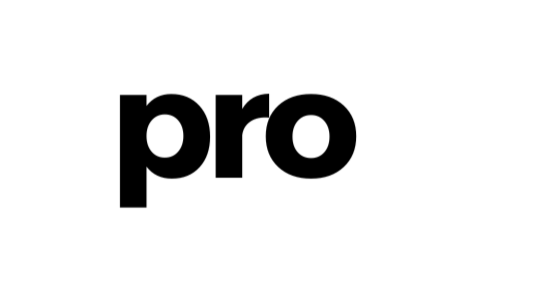 Pro Swing BSBL