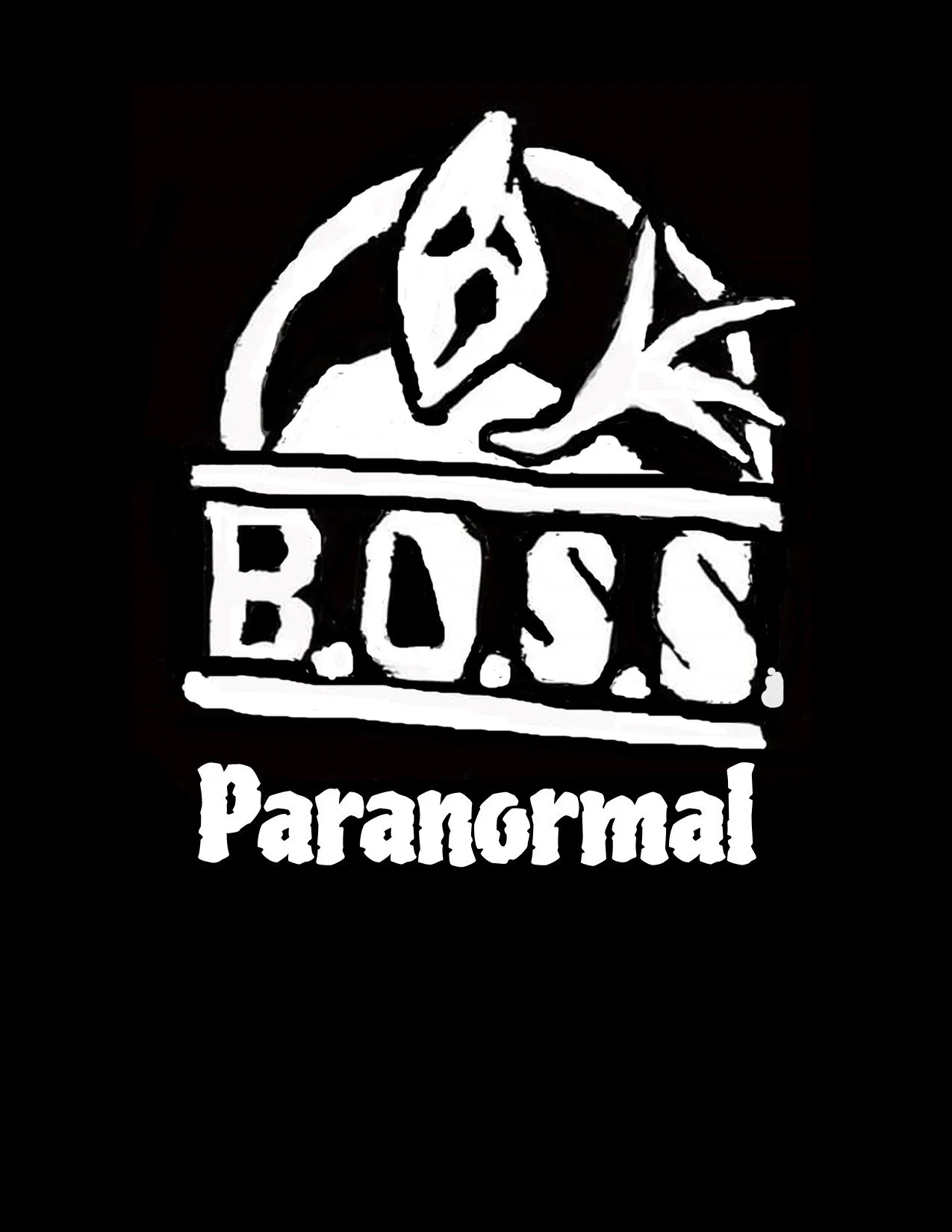 V.R. Paranormal Investigations