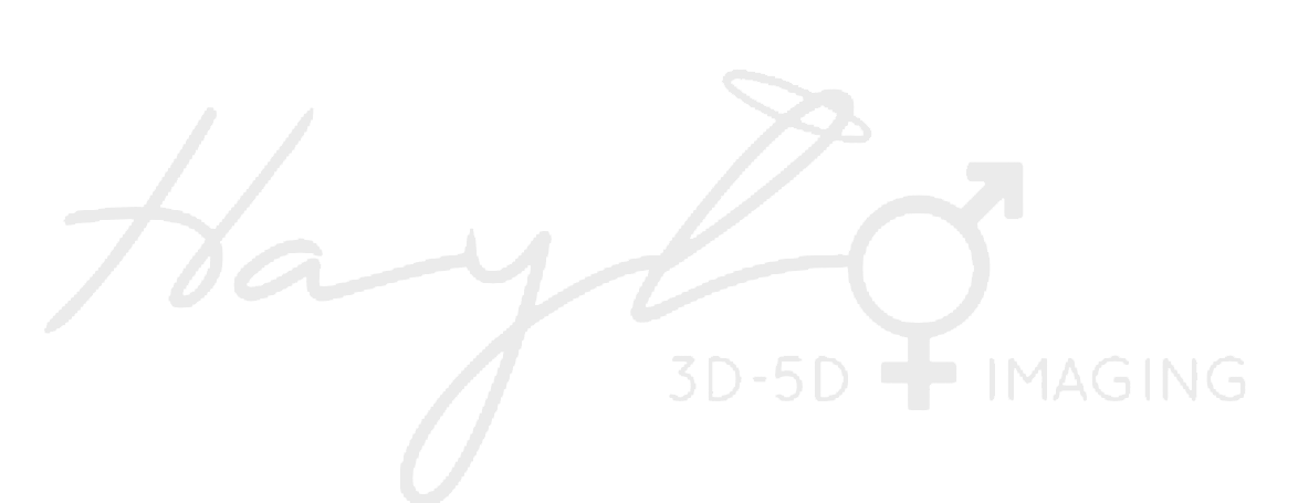 Your Haylo 3D - 5D Imaging