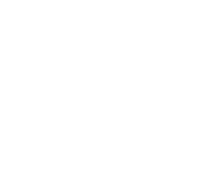 CIO Workshop