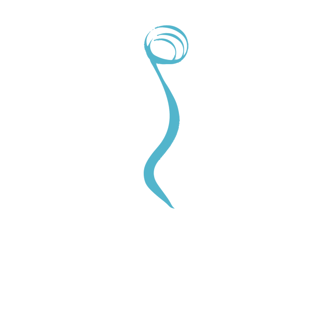 Somatic Healing Seattle