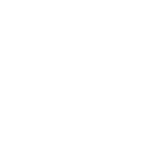 Randi Michelle Events