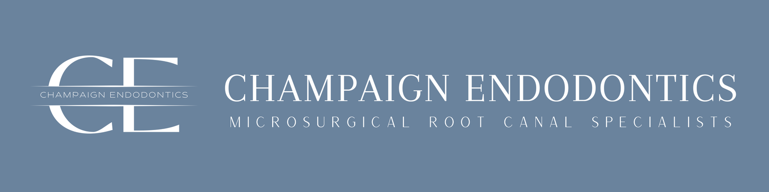 champaign endodontics