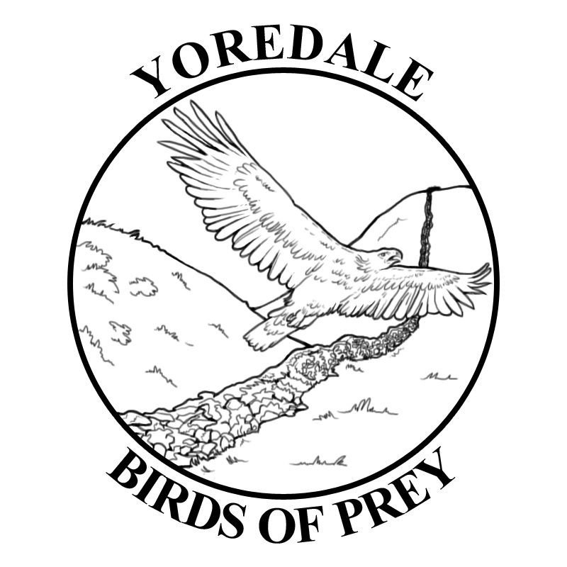 Yoredale Birds of Prey Ltd.