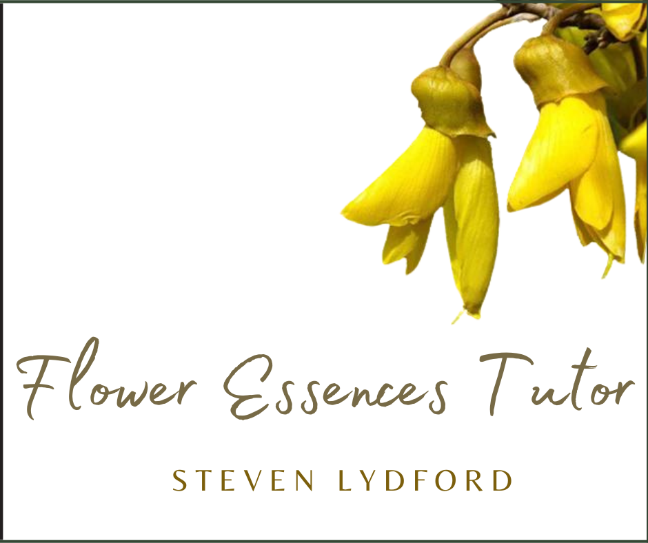 Flower Essences Tutor 