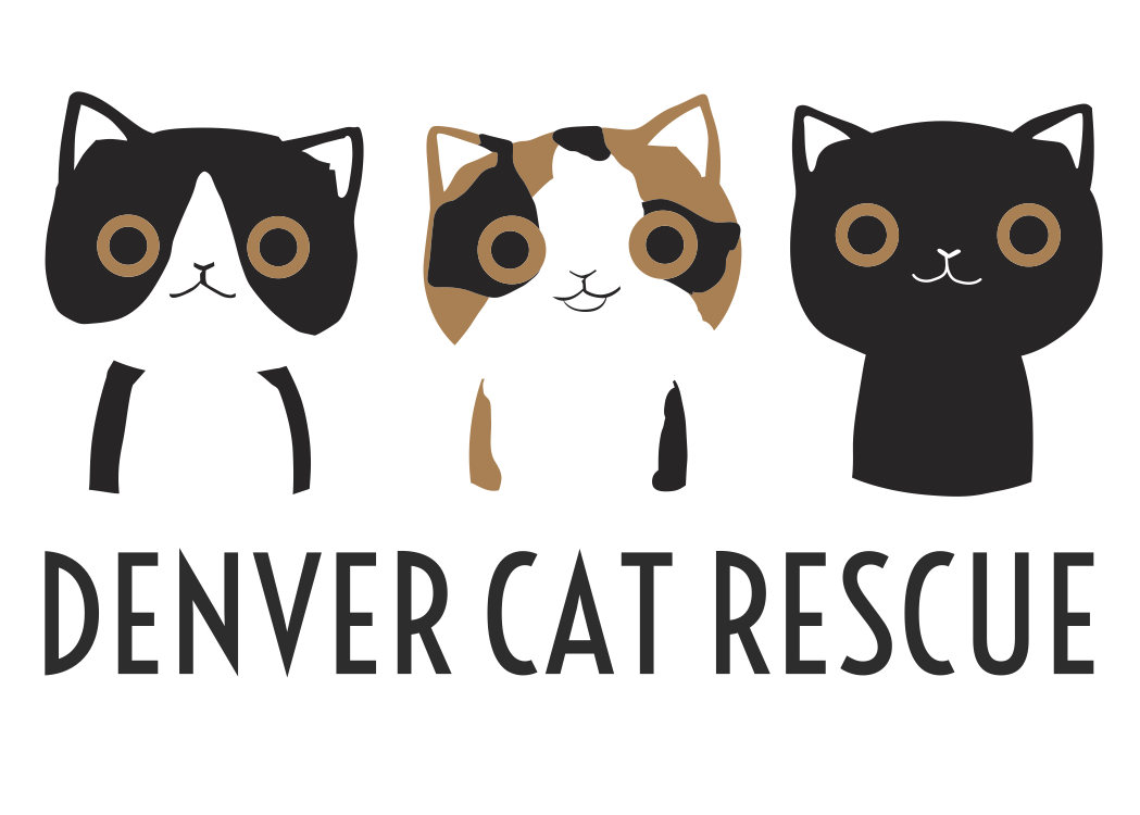 Denver Cat Rescue