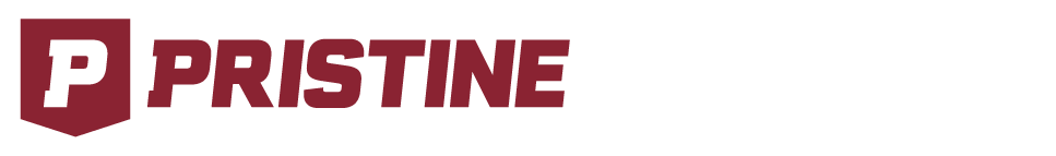 The Pristine Auction Blog