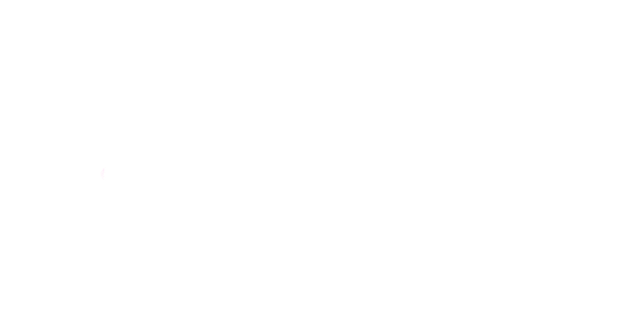 The Fellow Human