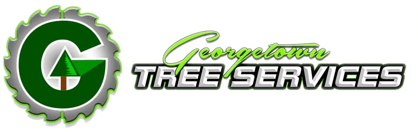 Georgetown Tree Services
