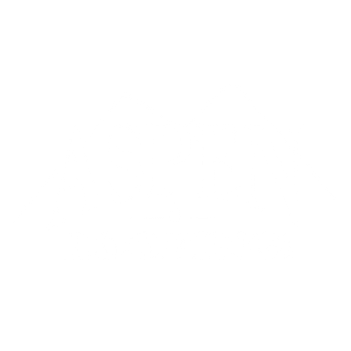 Aspen Roofing