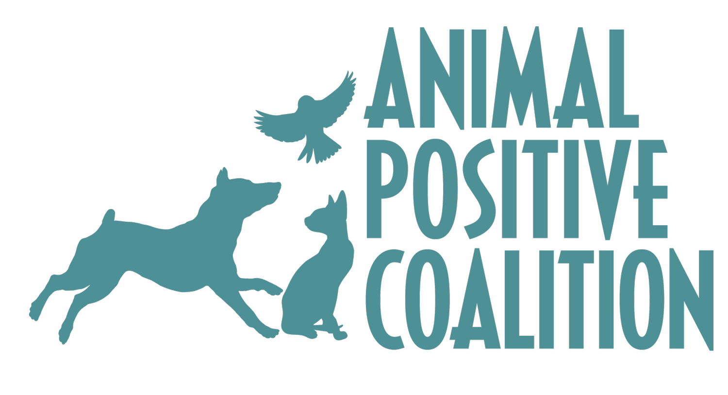 Animal Positive Coalition