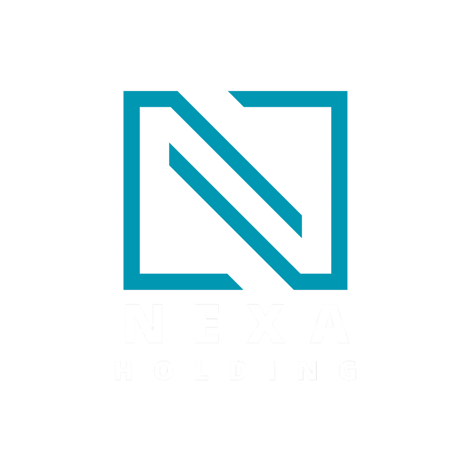nexaholding.com