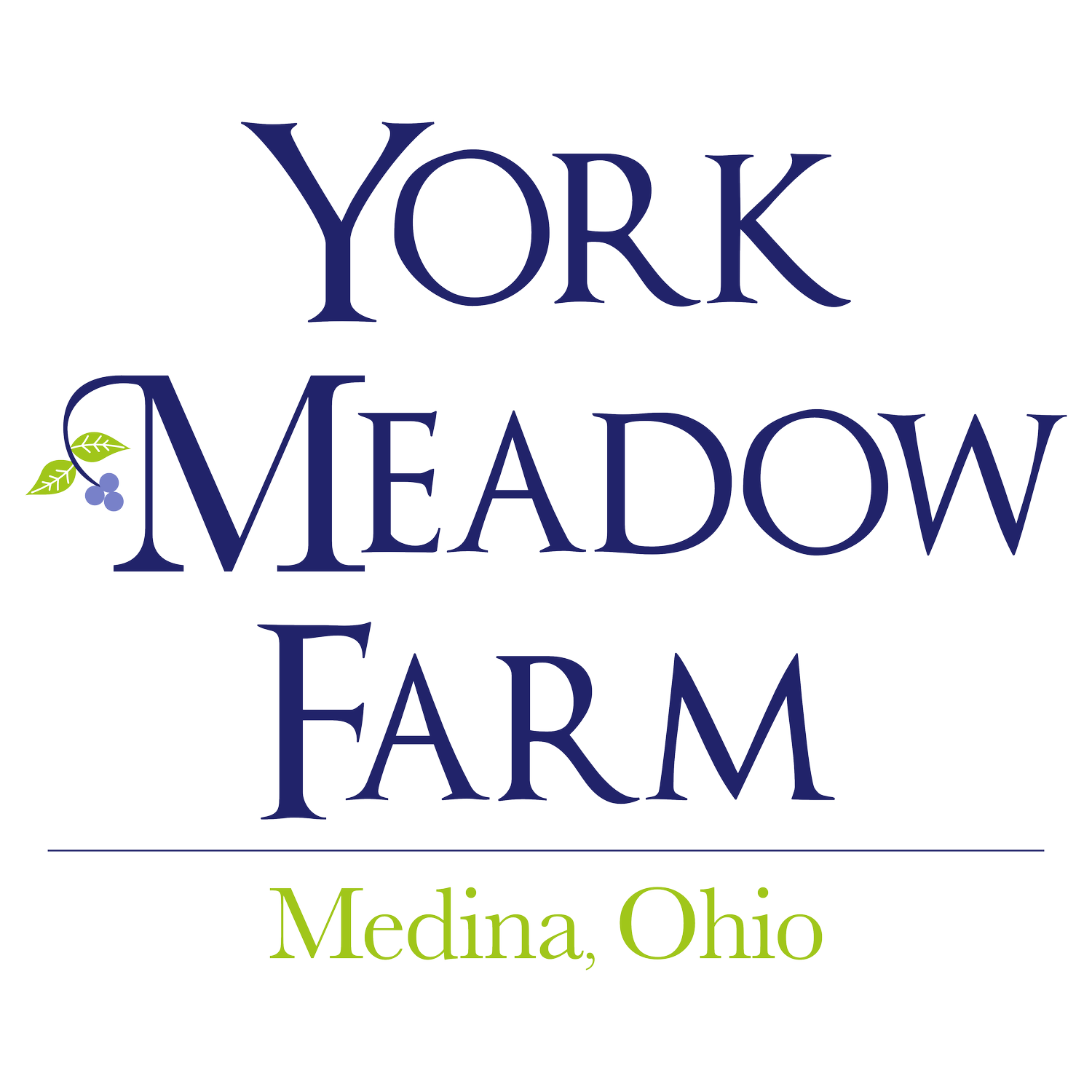 Natural Ferments - A Member of the York Meadow Farm Co-Op