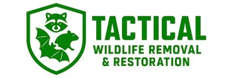 Tactical Wildlife Removal & Restoration