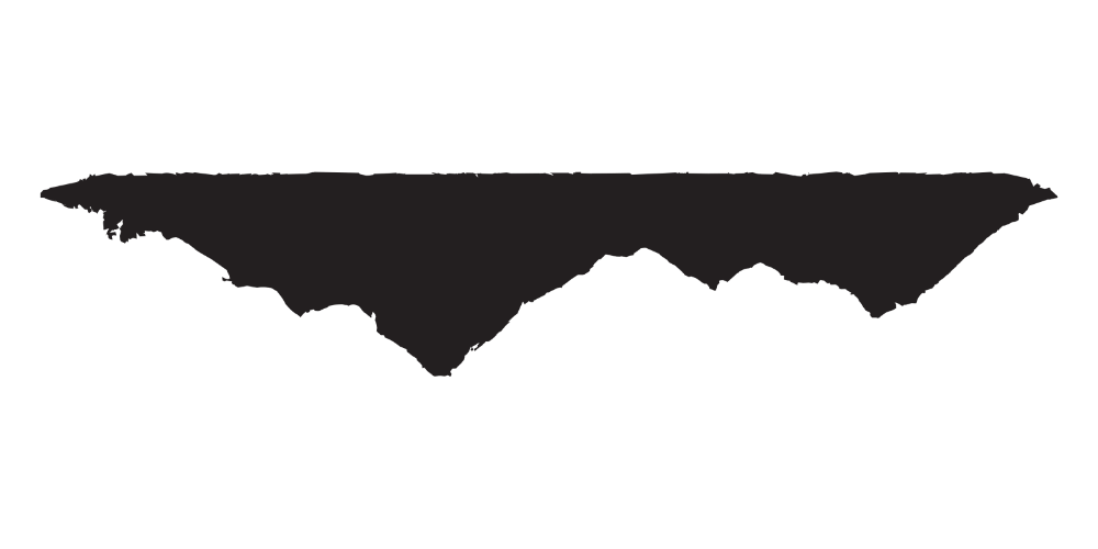 Fallen Mountain Wines