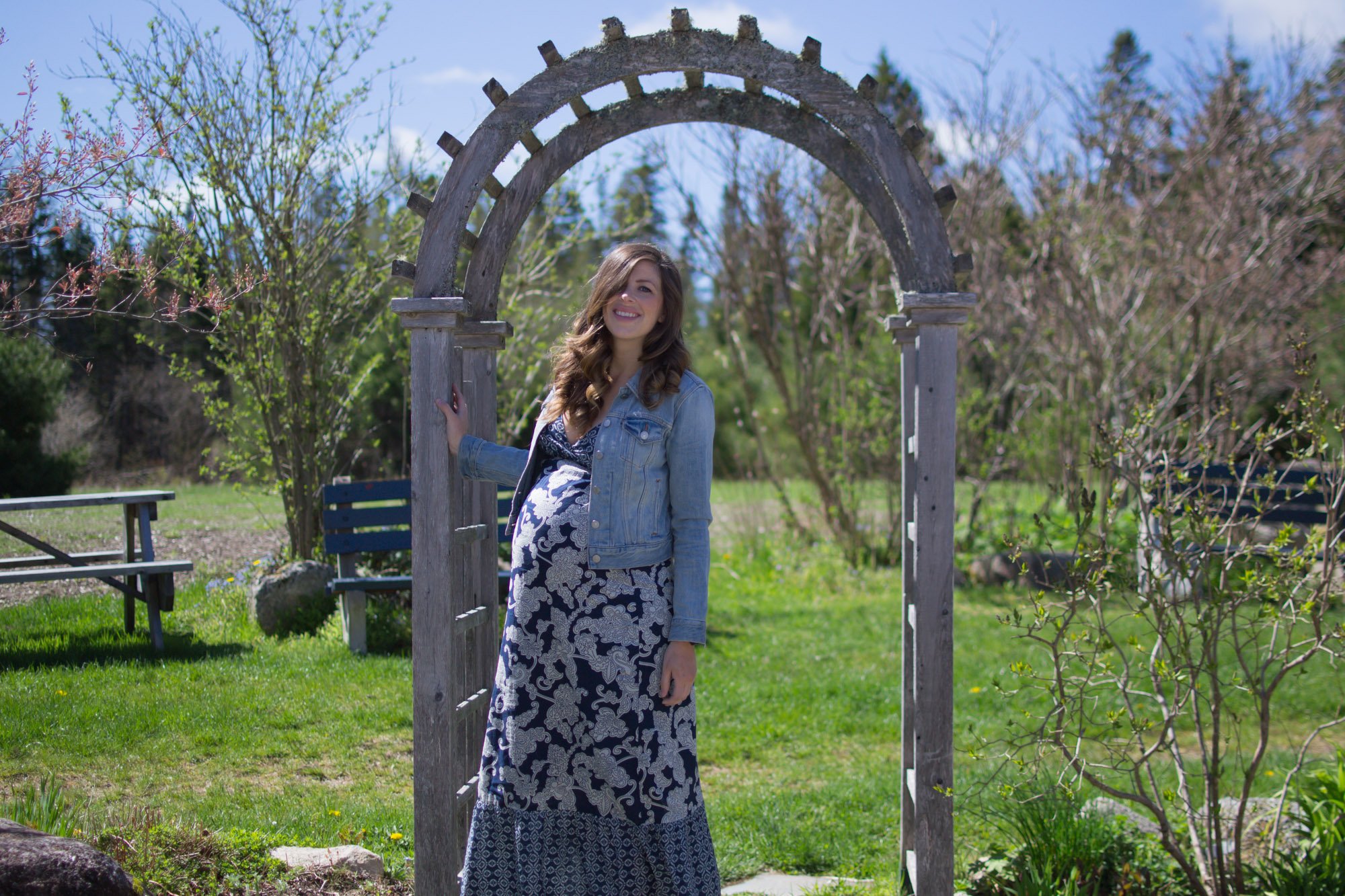 Wild Rosebuds: Seraphine Maternity Maxi Dress