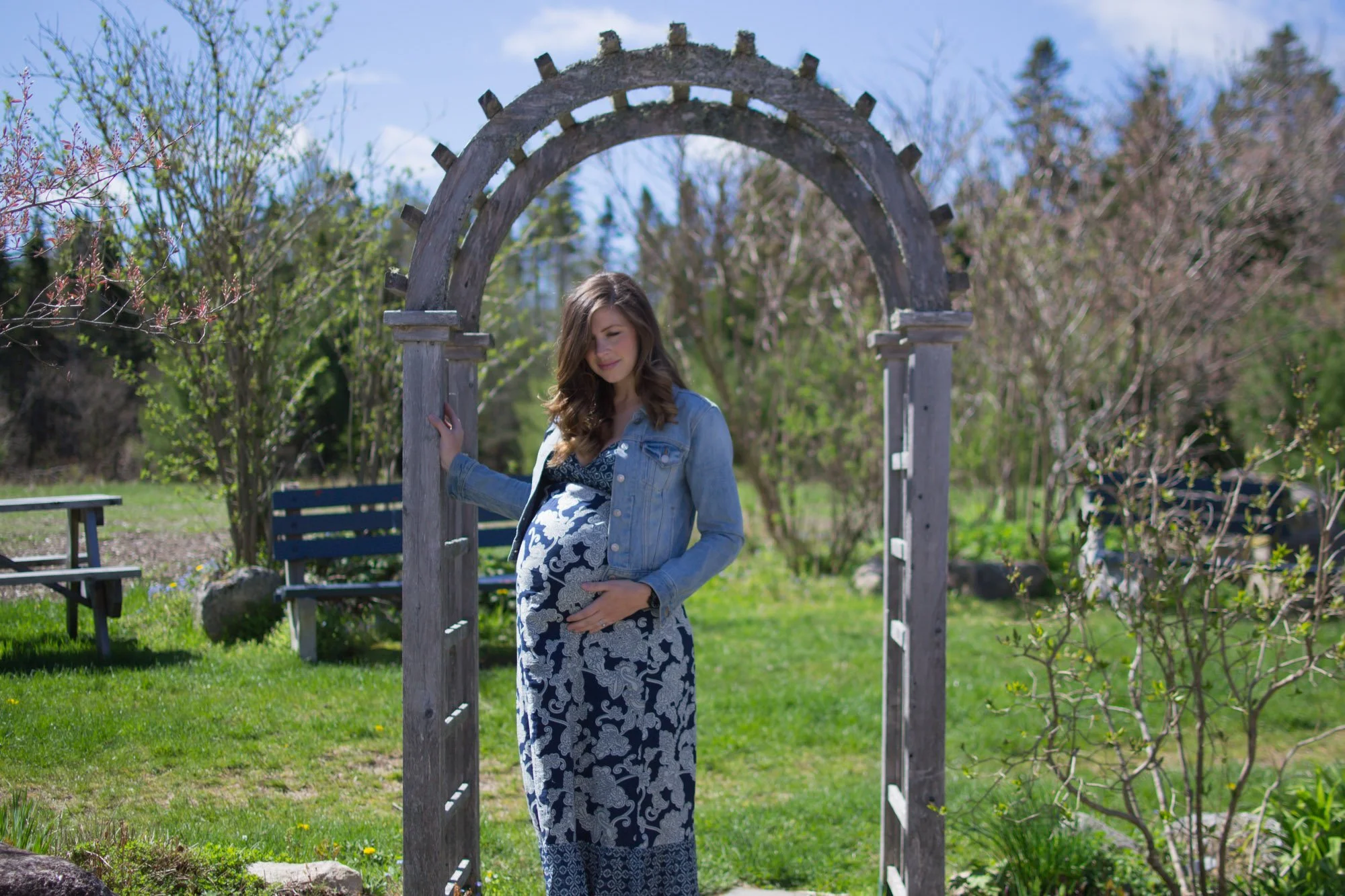 Wild Rosebuds: Seraphine Maternity Maxi Dress