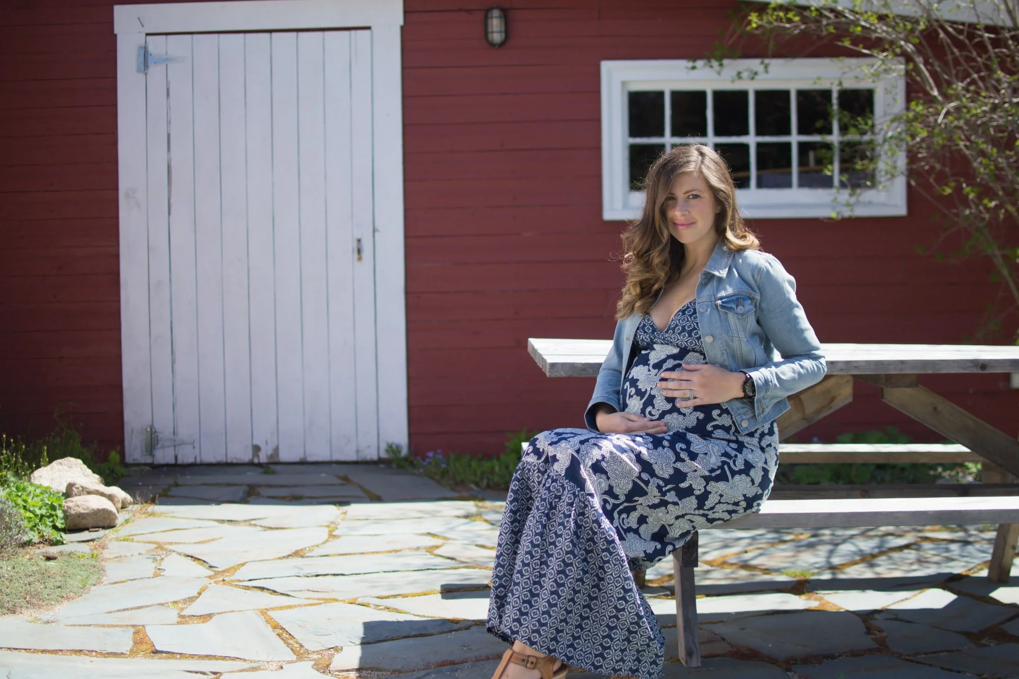 Wild Rosebuds: Seraphine Maternity Maxi Dress