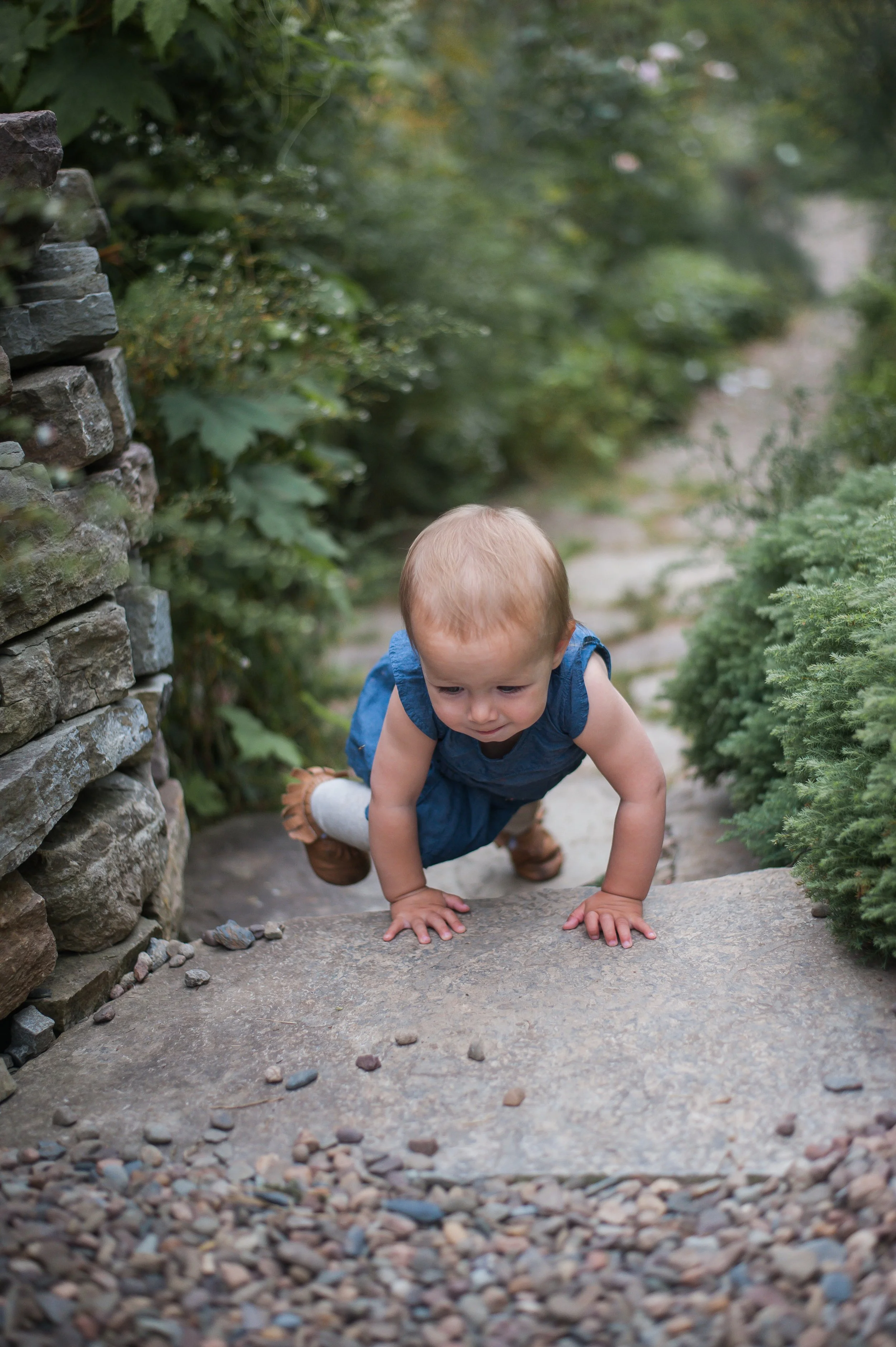 Wild Rosebuds: Trip To Tangled Gardens in Wolfville, Nova Scotia