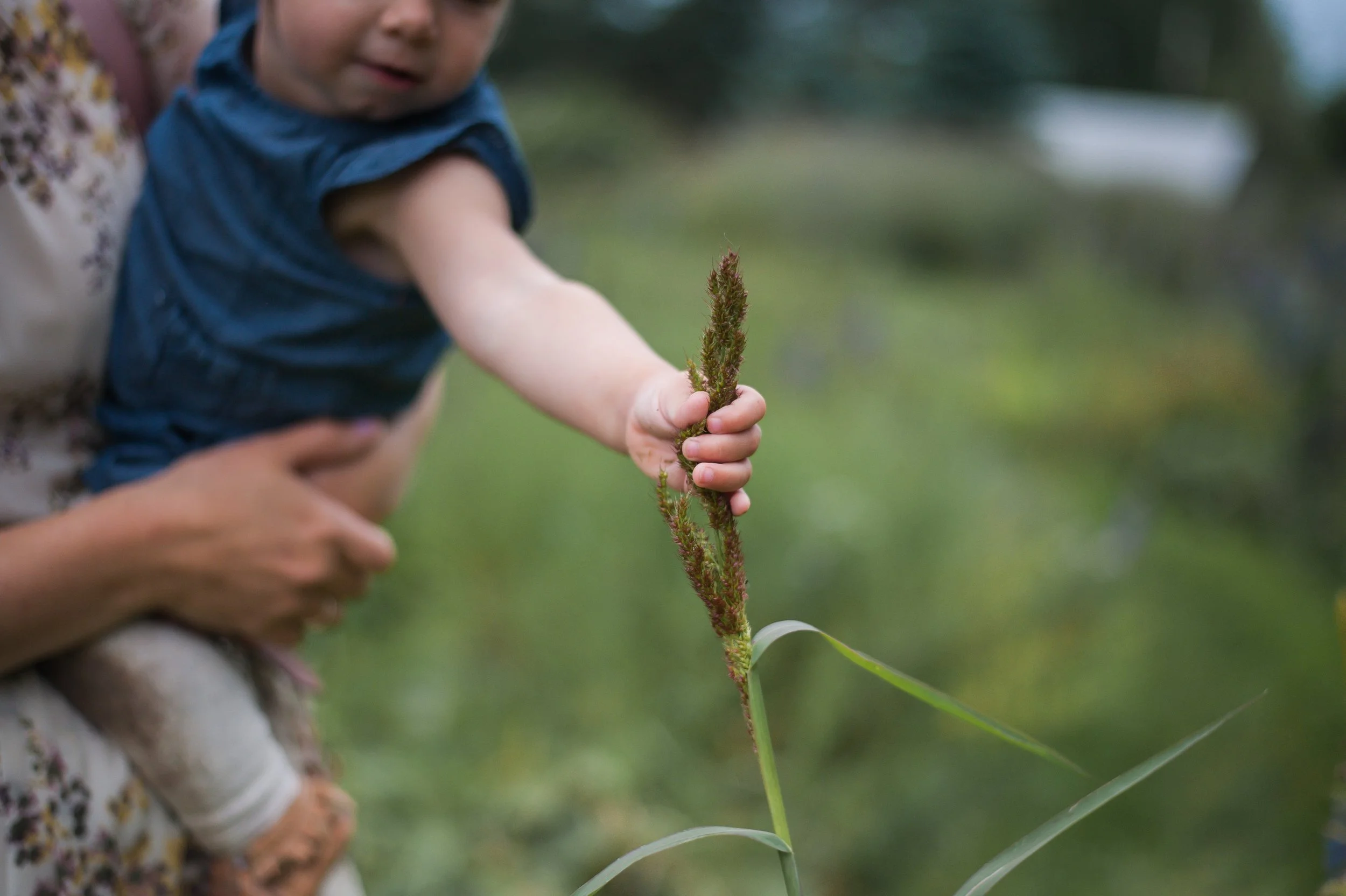 Wild Rosebuds: Trip To Tangled Gardens in Wolfville, Nova Scotia