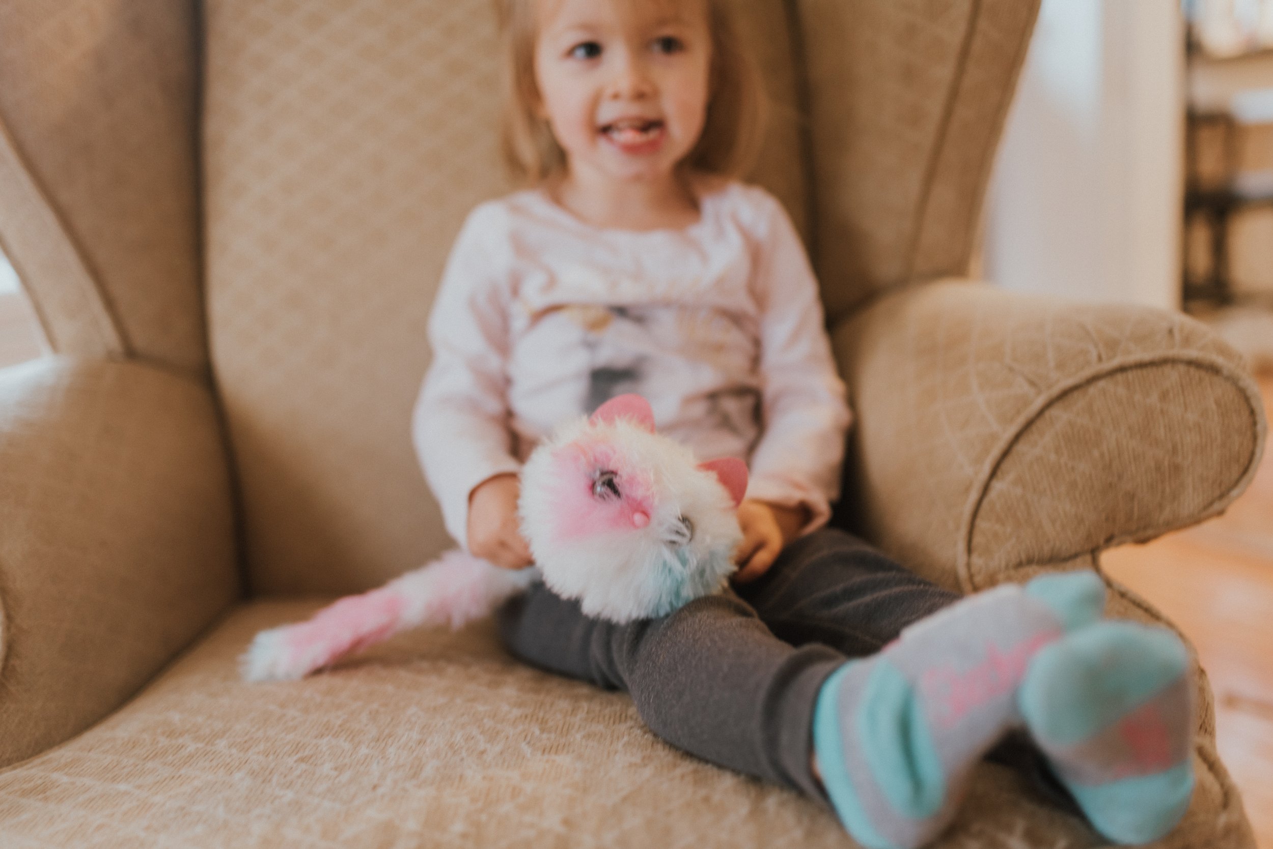 The Wild Decoeli | Our Place to Shop For Christmas, Canadian Tire | pomsies