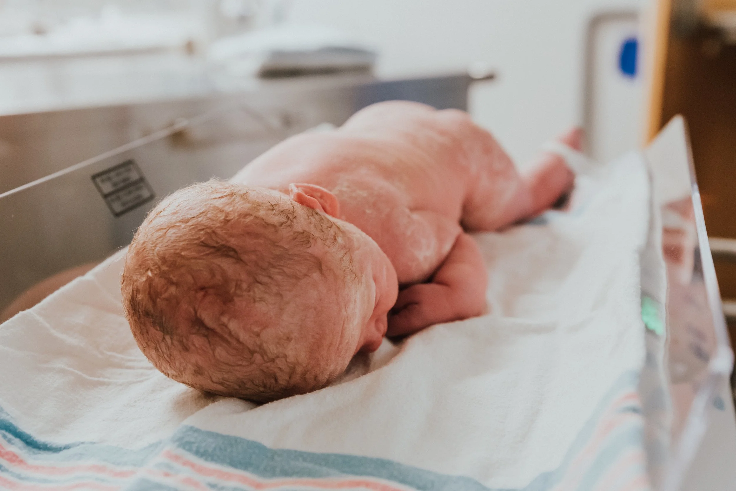 The Wild Decoelis | Emmitt's Birth Story |