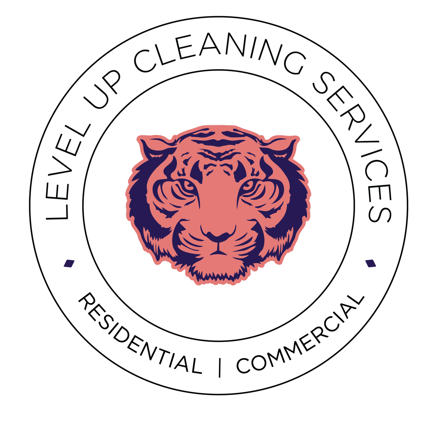 Level Up Cleaning Service