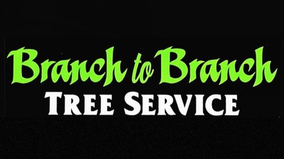 BRANCH TO BRANCH TREE SERVICE CORPORATION                 