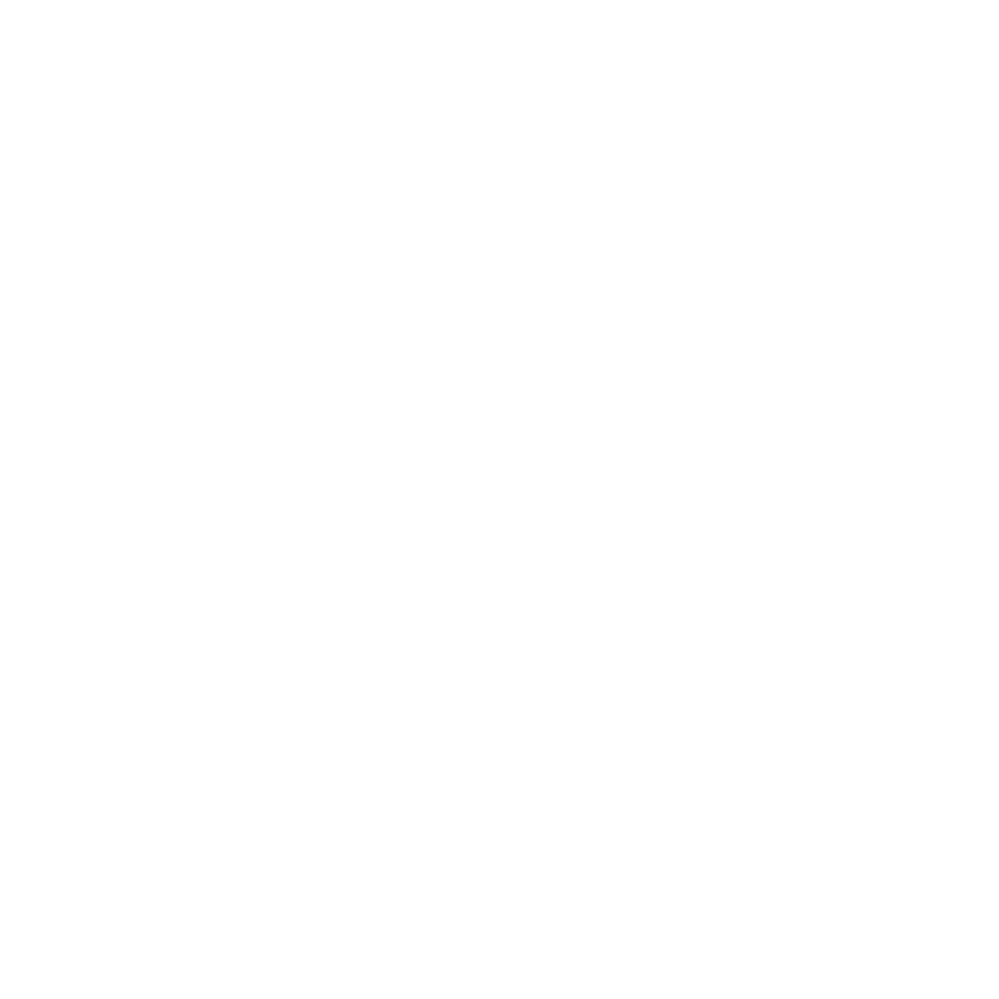 Rainier Inc.