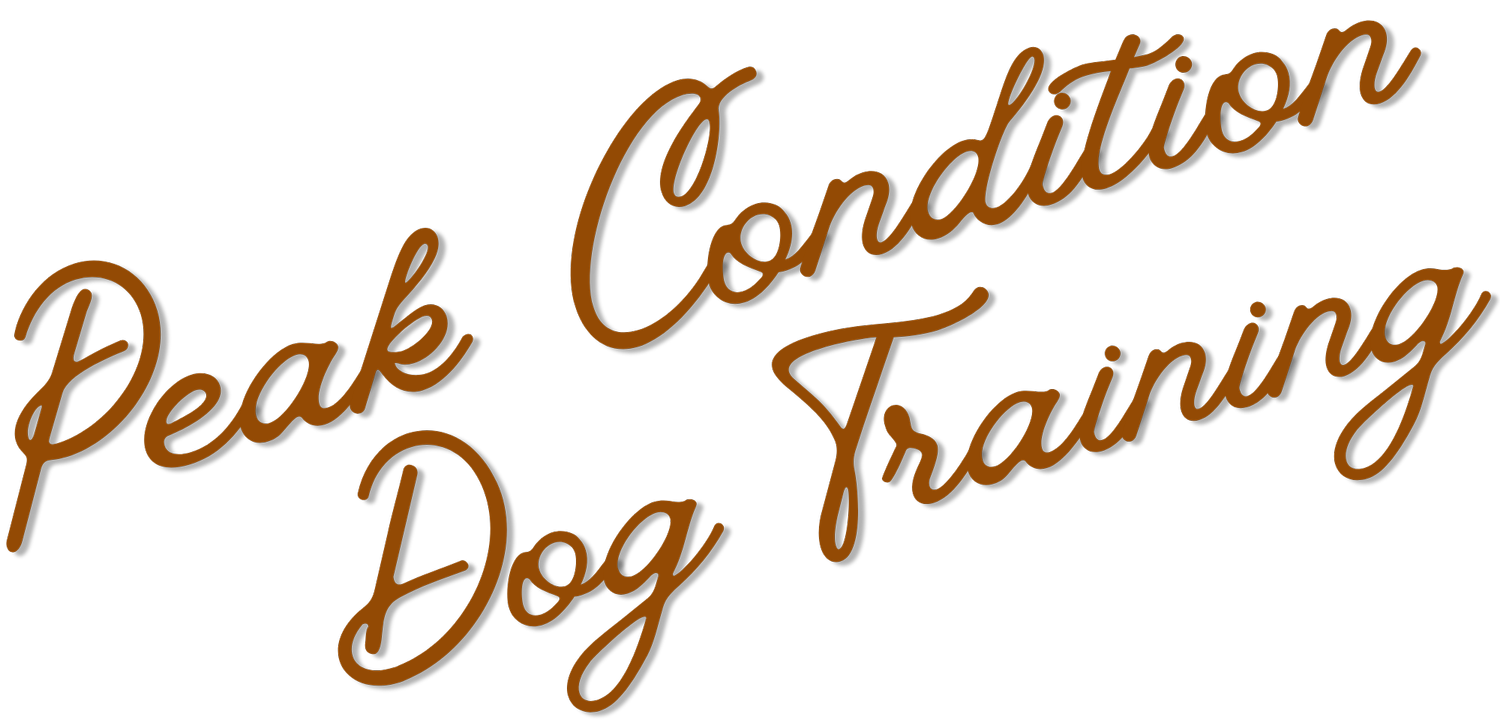 Peak Condition Dog Training