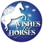 Wishes For Horses