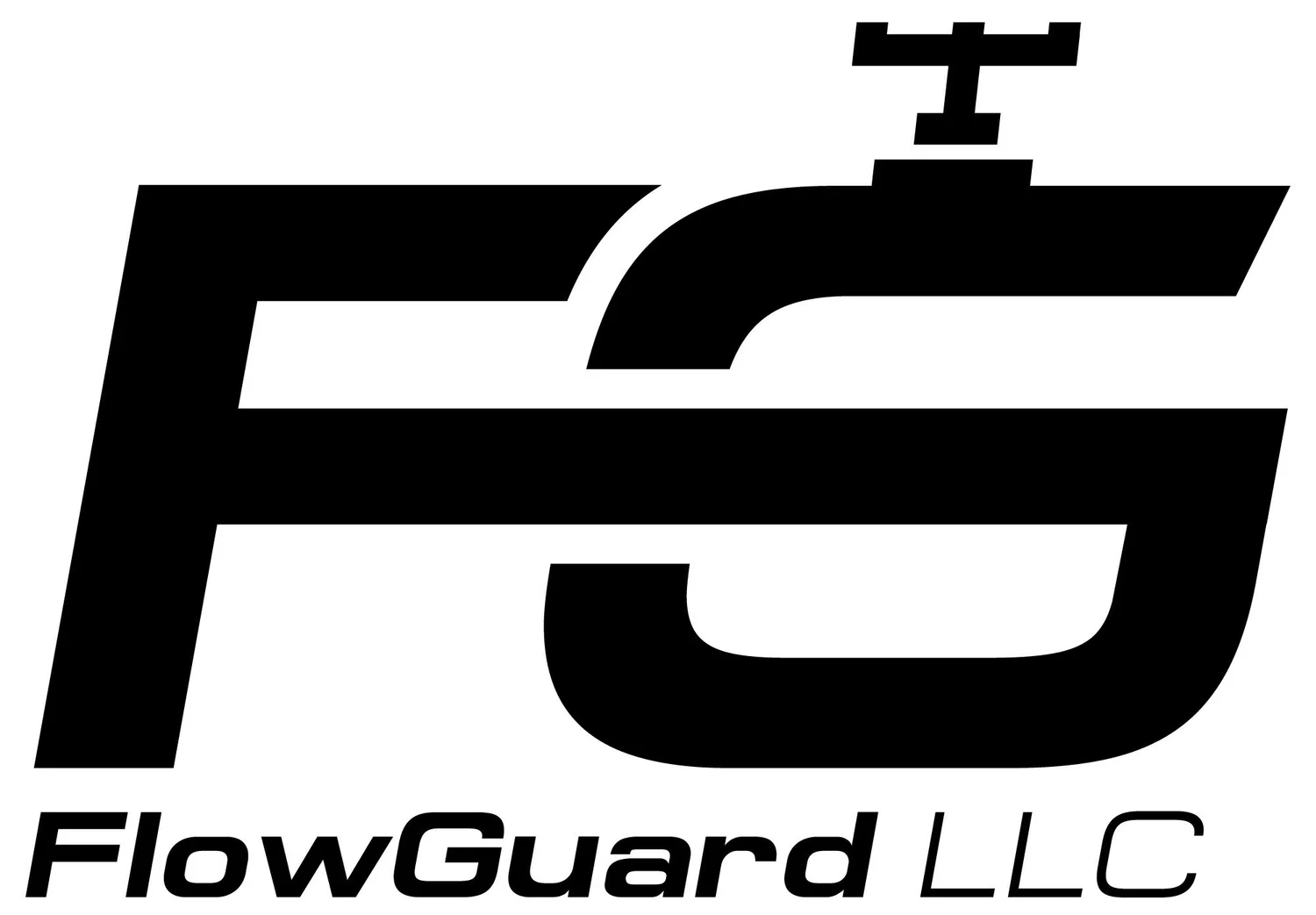 FlowGuard LLC 