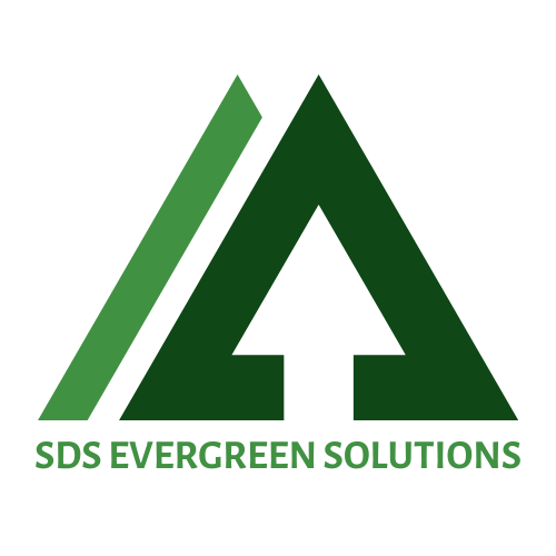 Local SEO Expert &amp; Digital Marketing | SDS Evergreen Solutions