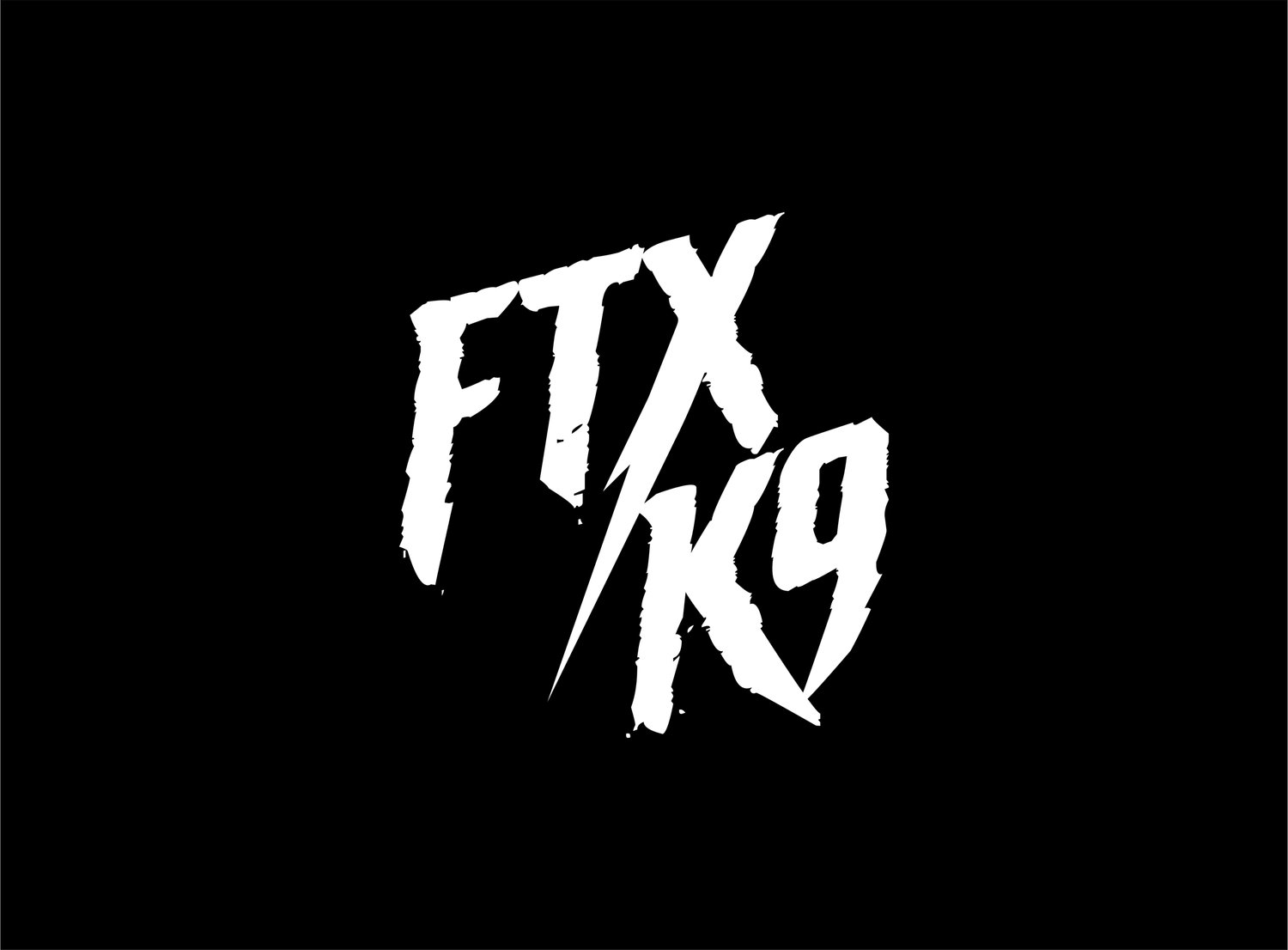FTX K9