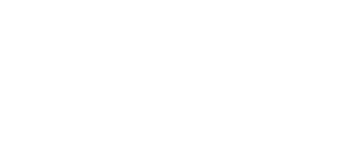 The Steward Investor