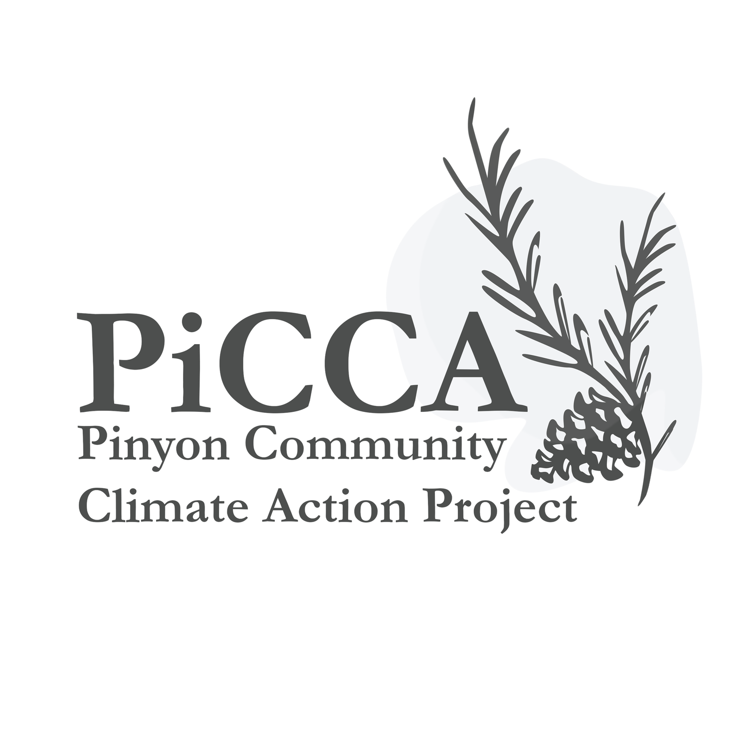 Pinyon Community Climate Action Project