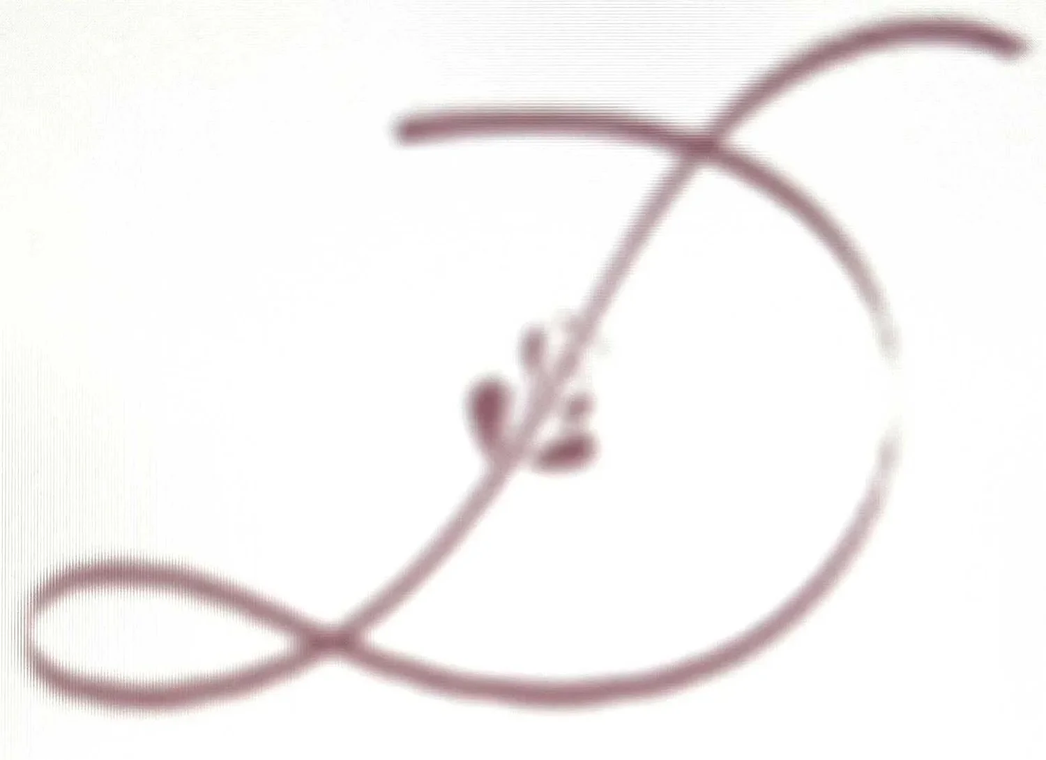 Dasa Jendrusakova, PsyD