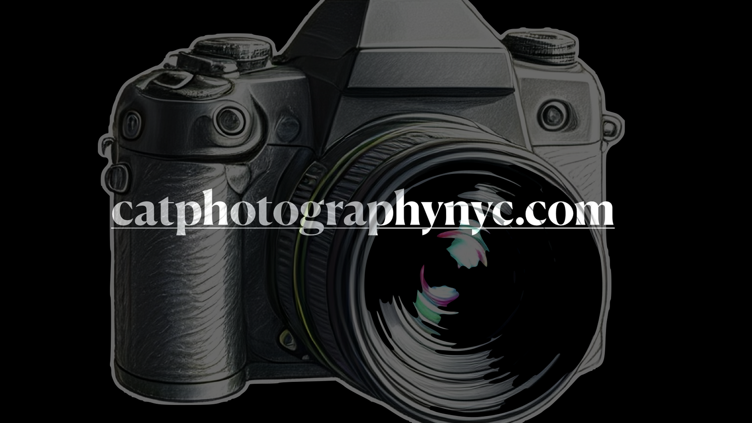 Catphotographynyc.com