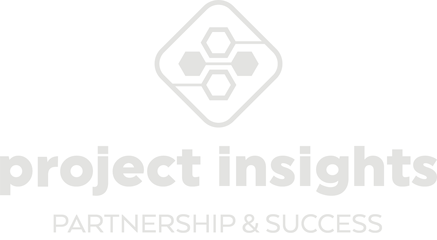Project Insights