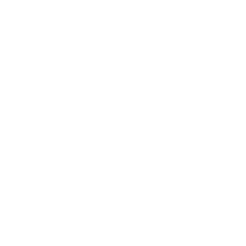 Sister Circle TO