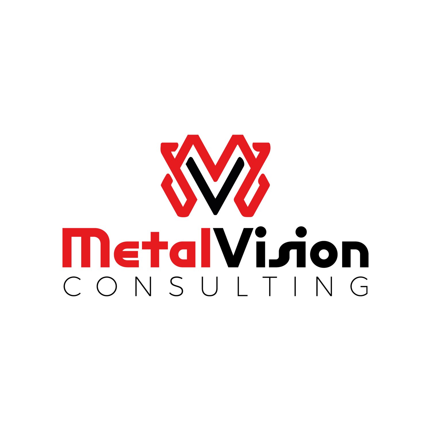 MetalVision Consulting