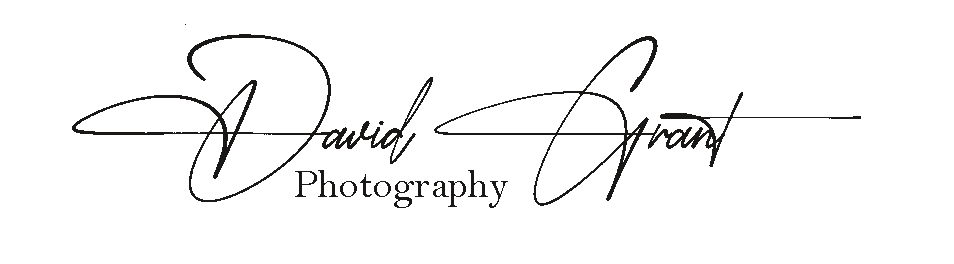 D Grant Media Fine Art Photography | Photographic Prints by David Grant