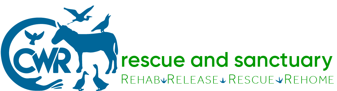 Carolina Waterfowl Rescue