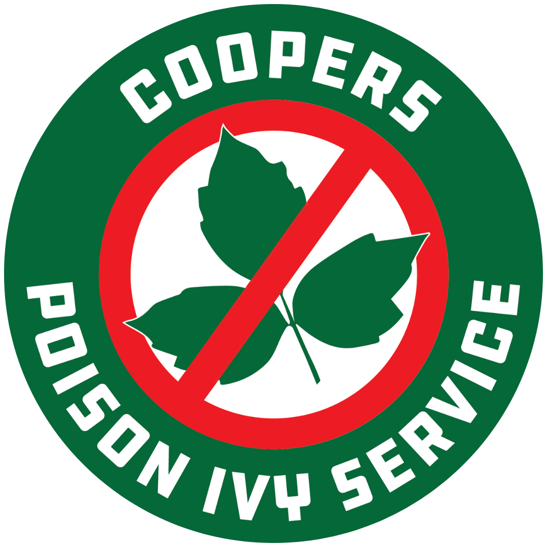 Cooper&#39;s Poison Ivy