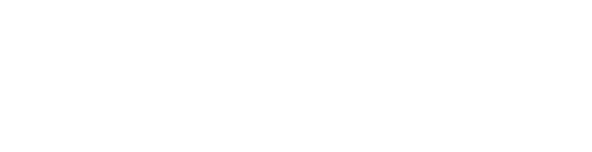 Alexander Bengal Cats