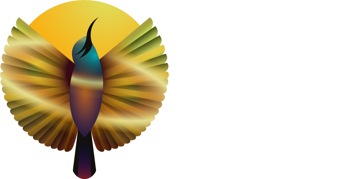 Wings For Hope Project