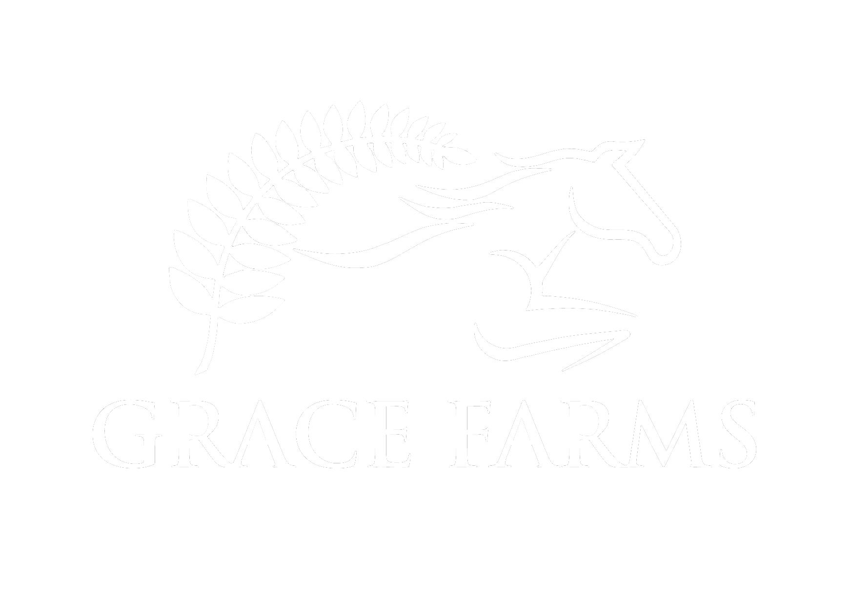 Grace Farms | Wanaka&#39;s Top Equestrian Facility