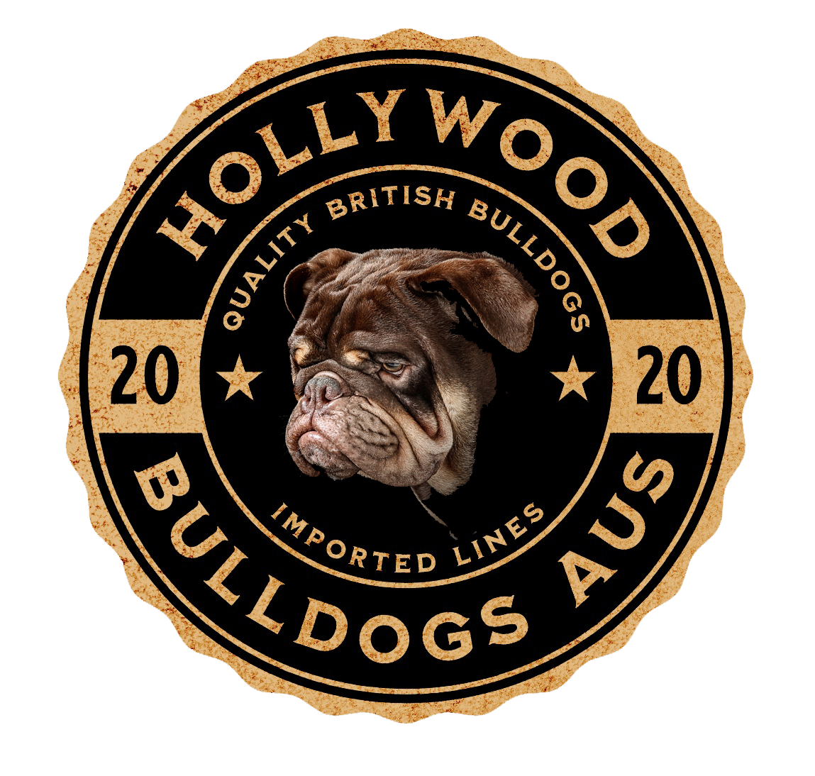 Hollywood Bulldogs AUS